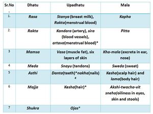 Dhatu-upadhatu mala pic2.JPG