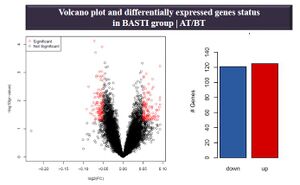 Basti volcano plot.JPG